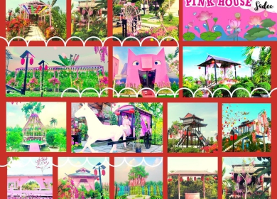 🤔 HOA VIÊN PINK HOUSE CÓ GÌ 🤔
