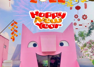 Pink House
