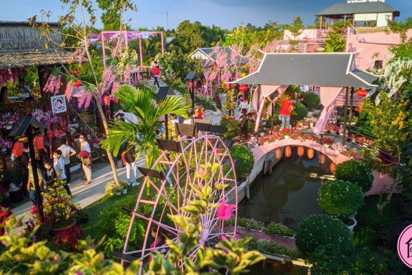 Album tham quan Pink House