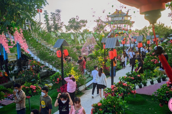 Album tham quan Pink House