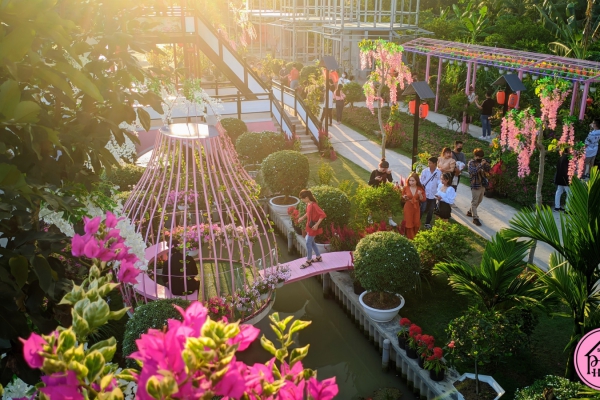 Album tham quan Pink House