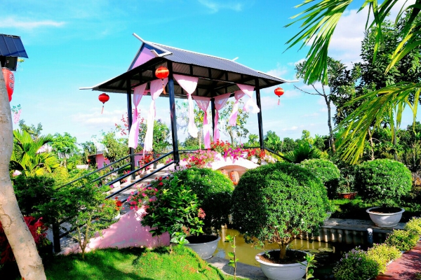 Album tham quan Pink House