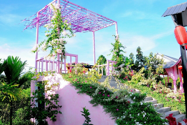 Album tham quan Pink House