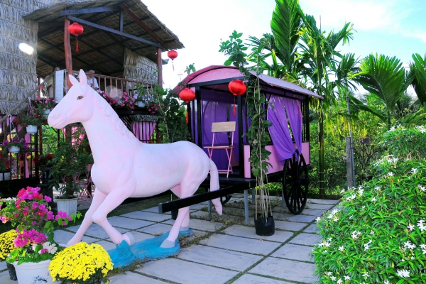 Album tham quan Pink House