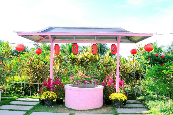 Album tham quan Pink House