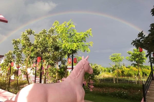 Album tham quan Pink House