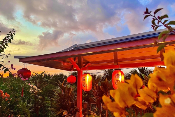 Album tham quan Pink House