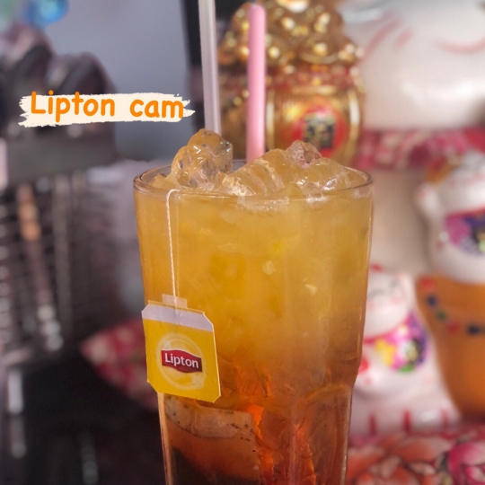 Lipton Cam