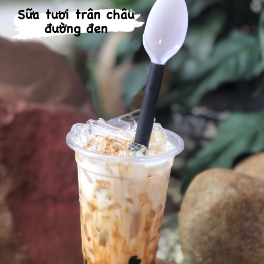 Sữa Tươi Trân Châu Đường Đen